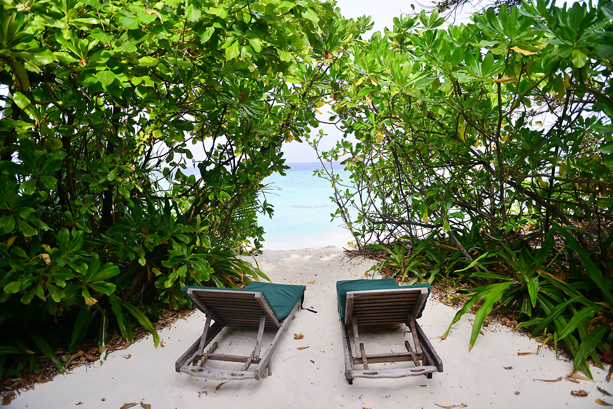 coco palm dhuni kolhu baa atoll malediven