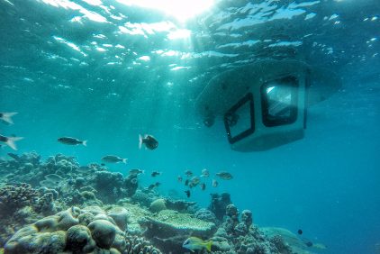 Malediven Amilla Tauchen Tauchboot Penguin Riff Fische c Amilla Fushi