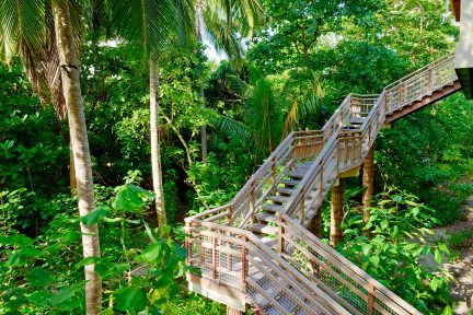 Malediven Amilla Wellness Tree House Baumhaus Spa Treppe © Amilla Resort and Residences
