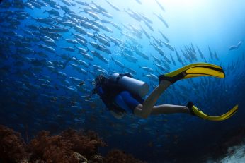 Tauchen im Furaveri Maldives