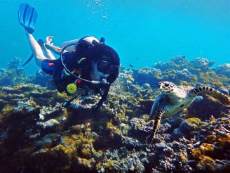 Tauchen mit Meeresschildkröten im Furaveri Maldives