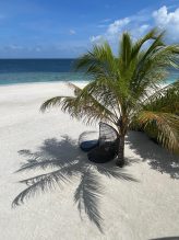 IMG-20260116-WA0024 - © Bernhard Krieger