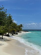 IMG-20260116-WA0026 - © Bernhard Krieger