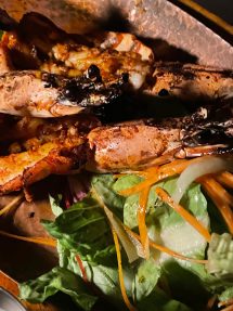 IMG-20260116-WA0032 - © Bernhard Krieger